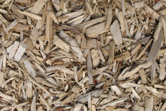 biomass boilers Prestatyn